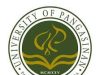 University of Pangasinan Student Portal Login -https://www.up.phinma.edu.ph