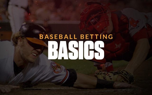 baseball-betting-basics